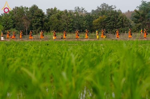 ภาพ No.131368:Photo Story ปฐมบรรพชาชาวพุทธมาร์มา Episode 5/5 วันที่ 13-16 กุมภาพันธ์ พ.ศ. 2567 ประเทศบังกลาเทศ