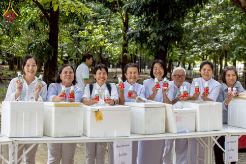 ภาพ No.233127:วันที่ 11 กรกฏาคม พ.ศ. 2568 พิธีอธิษฐานพรรษา ของคณะสงฆ์ ณ โบสถ์พระไตรปิฎก วัดพระธรรมกาย ต.คลองสาม อ.คลองหลวง จ.ปทุมธานี