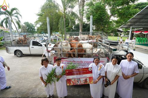 ภาพ No.152358:พิธีถวายมหาสังฆทานแด่พระภิกษุสงฆ์จำนวน 400 รูป ปีที่ 20 ณ ศูนย์อบรมเยาวชนผาสุกวนิช จ.ราชบุรี วันเสาร์ที่ 31 สิงหาคม พ.ศ. 2567