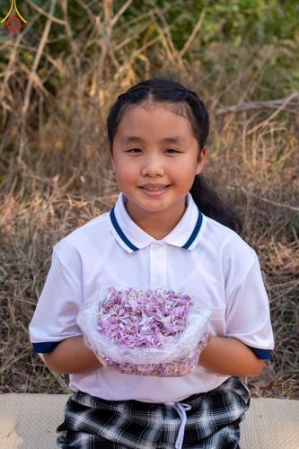 ภาพ No.116604:พิธีต้อนรับพระธรรมยาตรา ปีที่ 12 ณ อนุสรณ์สถานบางปลา จ.นครปฐม วันที่ 21 มกราคม พ.ศ. 2567