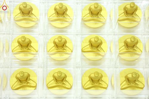 ภาพ No.159459:สัมมนาพิเศษและพิธีมอบองค์พระธรรมกาย 2,000 องค์ ณ ห้องแก้วสารพัดนึก 1 วัดพระธรรมกาย วันอาทิตย์ต้นเดือนที่ 6 ตุลาคม พ.ศ. 2567