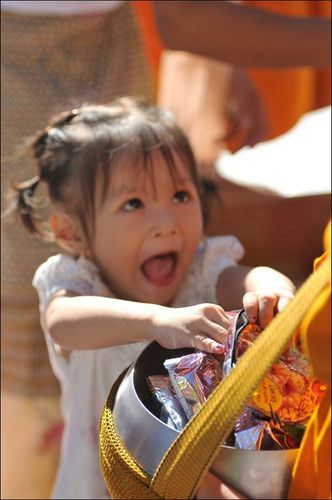 ภาพ No.8855:ประมวลภาพตักบาตรพระศรีราชา พระ 1,162 รูป 