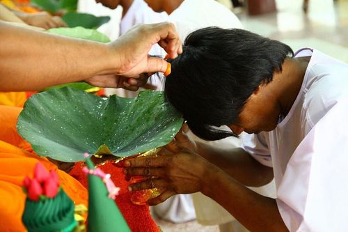 ภาพ No.8911:ประมวลภาพพิธีตัดปอยผมนาคธรรมทายาท รุ่นเข้าพรรษาทั่วไทย