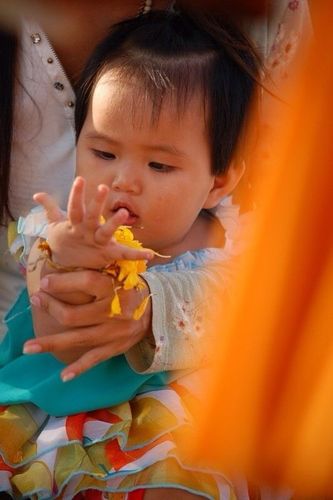 ภาพ No.6501:ประมวลภาพธุดงค์ธรรมชัย ปีที่ 2 วันที่ 10 มกราคม พ.ศ.2556