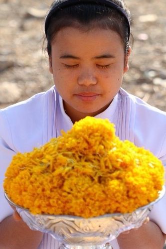 ภาพ No.6511:ประมวลภาพธุดงค์ธรรมชัย ปีที่ 2 วันที่ 10 มกราคม พ.ศ.2556