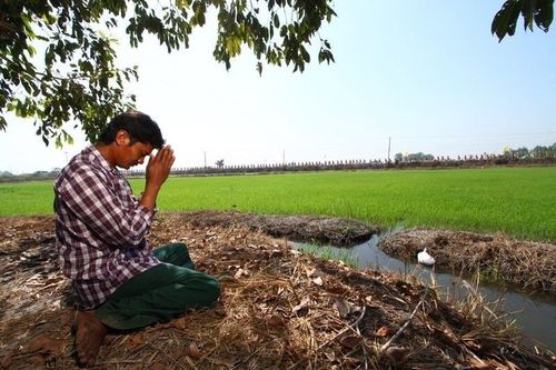 ภาพ No.6526:ประมวลภาพธุดงค์ธรรมชัย ปีที่ 2 วันที่ 10 มกราคม พ.ศ.2556