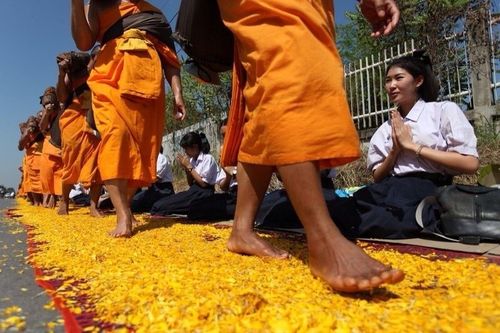 ภาพ No.6533:ประมวลภาพธุดงค์ธรรมชัย ปีที่ 2 วันที่ 10 มกราคม พ.ศ.2556