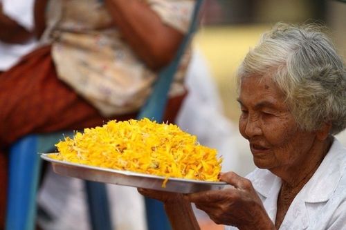 ภาพ No.6587:ประมวลภาพธุดงค์ธรรมชัย ปีที่ 2 วันที่ 11 มกราคม พ.ศ.2556