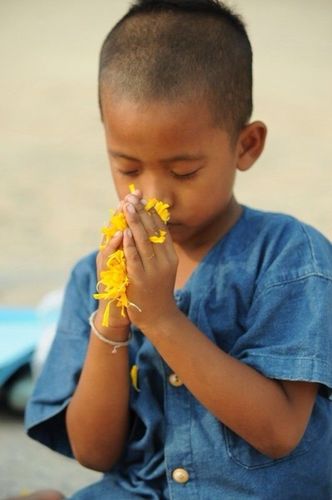 ภาพ No.6595:ประมวลภาพธุดงค์ธรรมชัย ปีที่ 2 วันที่ 11 มกราคม พ.ศ.2556