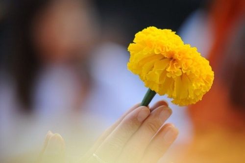 ภาพ No.6624:ประมวลภาพธุดงค์ธรรมชัย ปีที่ 2 วันที่ 11 มกราคม พ.ศ.2556