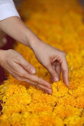 ภาพ No.6629:ประมวลภาพธุดงค์ธรรมชัย ปีที่ 2 วันที่ 11 มกราคม พ.ศ.2556