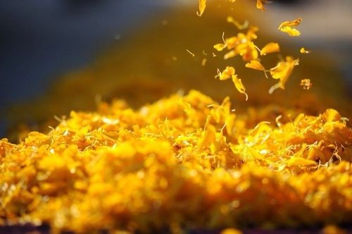 ภาพ No.6789:ประมวลภาพธุดงค์ธรรมชัย ปีที่ 2 วันที่ 13 มกราคม พ.ศ.2556