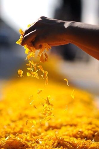 ภาพ No.6787:ประมวลภาพธุดงค์ธรรมชัย ปีที่ 2 วันที่ 13 มกราคม พ.ศ.2556