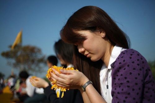 ภาพ No.7212:ประมวลภาพธุดงค์ธรรมชัย ปีที่ 2 วันที่ 19 มกราคม พ.ศ.2556