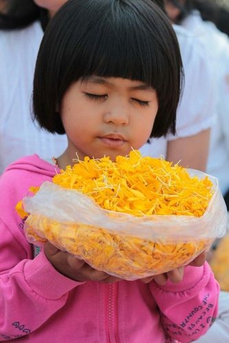 ภาพ No.7214:ประมวลภาพธุดงค์ธรรมชัย ปีที่ 2 วันที่ 19 มกราคม พ.ศ.2556