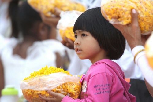 ภาพ No.7220:ประมวลภาพธุดงค์ธรรมชัย ปีที่ 2 วันที่ 19 มกราคม พ.ศ.2556