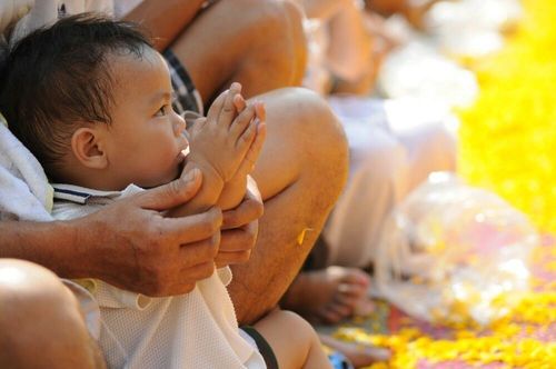 ภาพ No.7285:ประมวลภาพธุดงค์ธรรมชัย ปีที่ 2 วันที่ 20 มกราคม พ.ศ.2556