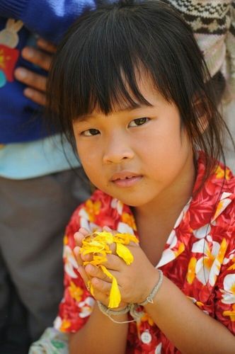 ภาพ No.7291:ประมวลภาพธุดงค์ธรรมชัย ปีที่ 2 วันที่ 20 มกราคม พ.ศ.2556