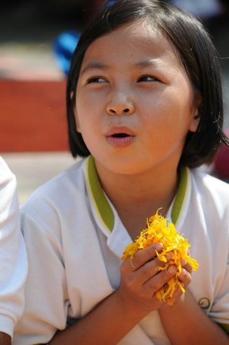 ภาพ No.7294:ประมวลภาพธุดงค์ธรรมชัย ปีที่ 2 วันที่ 20 มกราคม พ.ศ.2556