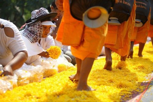 ภาพ No.7313:ประมวลภาพธุดงค์ธรรมชัย ปีที่ 2 วันที่ 20 มกราคม พ.ศ.2556