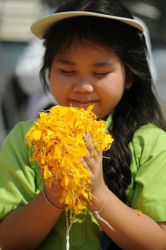 ภาพ No.7354:ประมวลภาพธุดงค์ธรรมชัย ปีที่ 2 วันที่ 21 มกราคม พ.ศ.2556