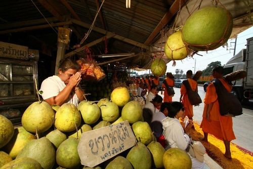 ภาพ No.7378:ประมวลภาพธุดงค์ธรรมชัย ปีที่ 2 วันที่ 21 มกราคม พ.ศ.2556