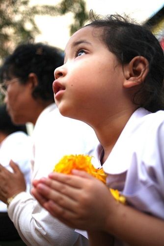 ภาพ No.7599:ประมวลภาพธุดงค์ธรรมชัย ปีที่ 2 วันที่ 24 มกราคม พ.ศ.2556