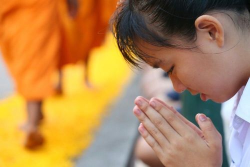 ภาพ No.7611:ประมวลภาพธุดงค์ธรรมชัย ปีที่ 2 วันที่ 24 มกราคม พ.ศ.2556