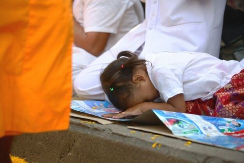 ภาพ No.7642:ประมวลภาพธุดงค์ธรรมชัย ปีที่ 2 วันที่ 24 มกราคม พ.ศ.2556