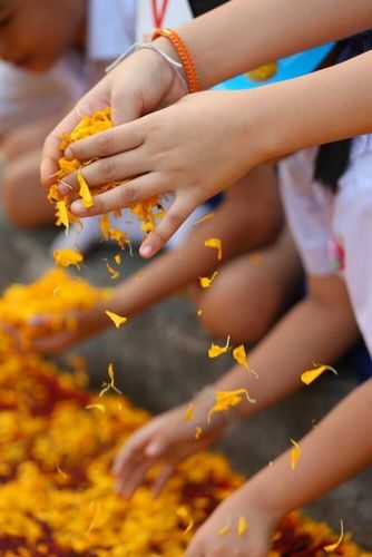 ภาพ No.7641:ประมวลภาพธุดงค์ธรรมชัย ปีที่ 2 วันที่ 24 มกราคม พ.ศ.2556