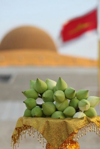 ภาพ No.8163:ประมวลภาพพิธีบรรพชาสามเณรในโครงการบวชพระ 1 แสนรูป ณ วัดพระธรรมกาย