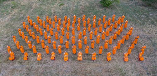 ภาพ No.40586:กิจวัตรพระธรรมทายาท จ.บุรีรัมย์