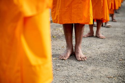 ภาพ No.40594:กิจวัตรพระธรรมทายาท จ.บุรีรัมย์