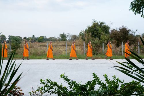 ภาพ No.40598:กิจวัตรพระธรรมทายาท จ.บุรีรัมย์