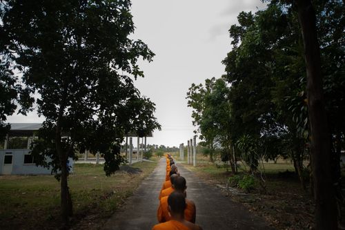 ภาพ No.40587:กิจวัตรพระธรรมทายาท จ.บุรีรัมย์
