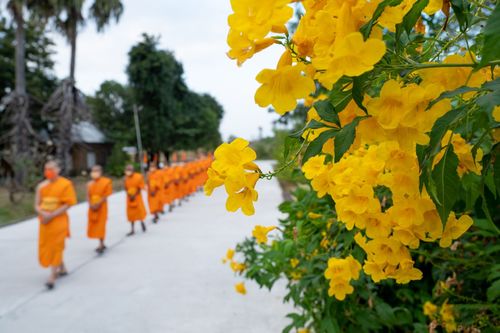 ภาพ No.40604:กิจวัตรพระธรรมทายาท จ.บุรีรัมย์