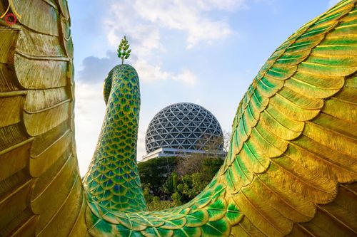 ภาพ No.43336:พิธีอัญเชิญมยุรนาวากาศ บูชาธรรมมหาปูชนียาจารย์ ชุดที่ 2 วันพฤหัสบดีที่ 3 กุมภาพันธ์ พ.ศ. 2565