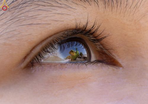 ภาพ No.43342:พิธีอัญเชิญมยุรนาวากาศ บูชาธรรมมหาปูชนียาจารย์ ชุดที่ 2 วันพฤหัสบดีที่ 3 กุมภาพันธ์ พ.ศ. 2565