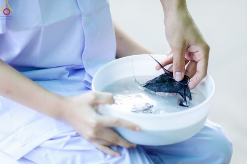 ภาพ No.43809:ประมวลภาพพิธีปลงผม โครงการอบรมมัชฌิมธรรมทายาท รุ่นที่ 26  และโครงการยุวธรรมทายาท รุ่นที่ 30