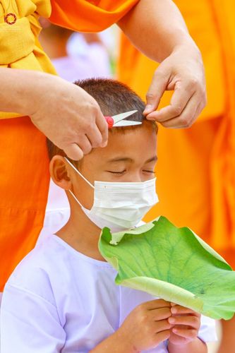 ภาพ No.43869:ประมวลภาพพิธีปลงผมธรรมทายาท ในโครงการบรรพชาสามเณรฟื้นฟูพระพุทธศาสนาทั่วไทย ณ ศูนย์อบรมเยาวชนกาญจนบุรี