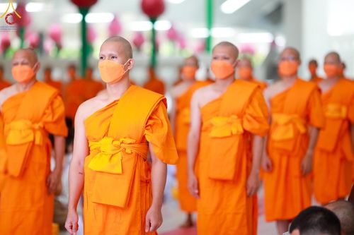 ภาพ No.141486:พิธีบรรพชาอุปสมบท โครงการอุปสมบทหมู่รุ่นผู้บริหาร รุ่นที่ 14 โครงการอุปสมบทหมู่ธรรมทายาท ระดับอุดมศึกษา รุ่นที่ 51 ภาคฤดูฝน ณ โบสถ์พระไตรปิฎก วัดพระธรรมกาย ในวันเสาร์ที่ 15 มิถุนายน พ.ศ. 2567