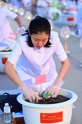 ภาพ No.253046:วันที่ 10 ตุลาคม พ.ศ. 2568 พิธีปลูกต้นทรัพย์บานชื่น ณ ลานธรรม วัดพระธรรมกาย