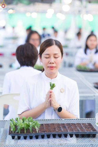 ภาพ No.343914:วันที่ 16 สิงหาคม พ.ศ.2569 การปักชำต้นกล้าเบญจทรัพย์ เพื่อเตรียมดอกไม้บูชาธรรม พระเดชพระคุณหลวงปู่ และโปรยต้อนรับพระธรรมยาตรา ปีที่ 15 ณ โรงเรือนปักชำประตู 8 วัดพระธรรมกาย