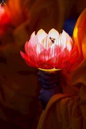 ภาพ No.229546:วันเสาร์ที่ 26 เมษายน พ.ศ. 2568 คณะพระภิกษุสามเณรในโครงการบรรพชาหมู่ 81 รูป  วัดภาวนาโซล ประเทศเกาหลีใต้ ได้ร่วมกับคณะสาธุชนคนไทยในเกาหลีใต้  ร่วมกันเดินขบวนอัญเชิญโคมดอกบัว  เพื่อบูชาแด่องค์สมเด็จพระสัมมาสัมพุทธเจ้า  ในงานเทศกาลวิสาขบูชานานาชาติ ประจำปี