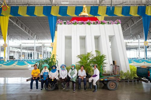 ภาพ No.60819:V.37 ยิ่งกว่าดี เพื่อ 80 ปีของพ่อ ภาพการเตรียมงานของหน่วยงานต่างๆ เพื่อพิธีฉลองอายุวัฒนมงคล 80 ปี หลวงพ่อธัมมชโย และรับถวายมหาสังฆทาน 10,000 กว่าวัดทั่วประเทศ ในวันคุ้มครองโลก วันจันทร์ที่ 22 เมษายน พ.ศ. 2567