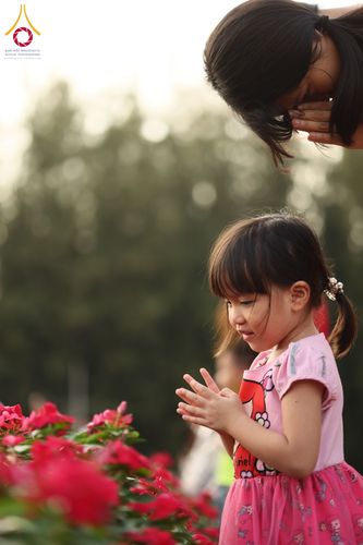 ภาพ No.185454:กิจกรรมเก็บดอกแพงรวย วันอาทิตย์ที่ 22 ธันวาคม พ.ศ. 2567 ณ ทุ่งสวรรค์ ตะวันฉาย วัดพระธรรมกาย