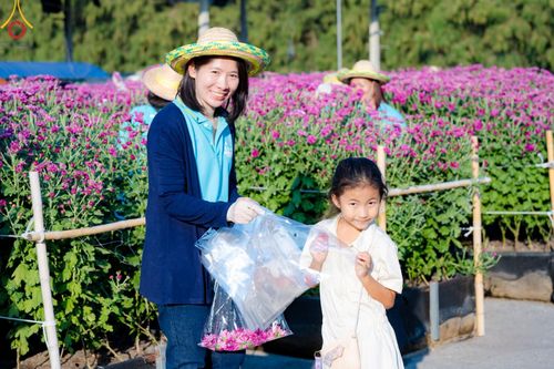 ภาพ No.186282:จิตอาสาอนุรักษ์สิ่งแวดล้อม รับบุญเก็บดอกเบญจทรัพย์ เพื่องานต้อนรับพระธรรมยาตรา ณ "ทุ่งสวรรค์ ตะวันฉาย" วัดพระธรรมกาบ วันที่ 22 ธันวาคม พ.ศ. 2567