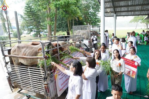 ภาพ No.152354:พิธีถวายมหาสังฆทานแด่พระภิกษุสงฆ์จำนวน 400 รูป ปีที่ 20 ณ ศูนย์อบรมเยาวชนผาสุกวนิช จ.ราชบุรี วันเสาร์ที่ 31 สิงหาคม พ.ศ. 2567