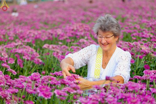 ภาพ No.102909:สาธุชนร่วมรับบุญเก็บดอกเบญจทรัพย์ ในวันที่ 19 ธันวาคม พ.ศ. 2566 (วันแรก) ณ บริเวณวัดพระธรรมกาย จ.ปทุมธานี
