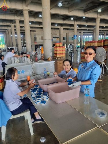 ภาพ No.61331:V.36 ทุ่มเทเพื่อพ่อ 80 ปี ภาพการเตรียมงานของหน่วยงานต่างๆ เพื่อพิธีฉลองอายุวัฒนมงคล 80 ปี หลวงพ่อธัมมชโย และรับถวายมหาสังฆทาน 10,000 กว่าวัดทั่วประเทศ ในวันคุ้มครองโลก จันทร์ที่ 22 เมษายน พ.ศ.2567